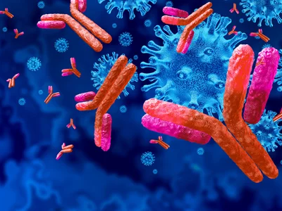 Antibody-Drug Conjugates: A New Hope for Ovarian and Endometrial Cancer&nbsp;Treatment